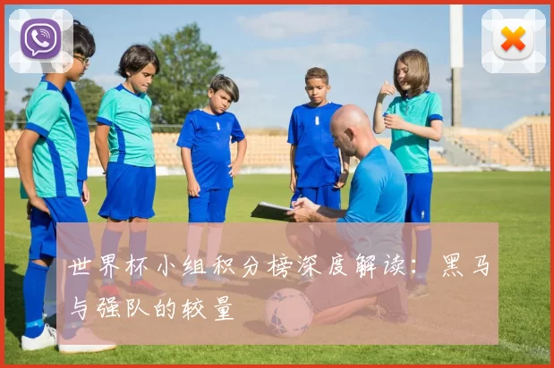 世界杯小组积分榜深度解读:黑马与强队的较量