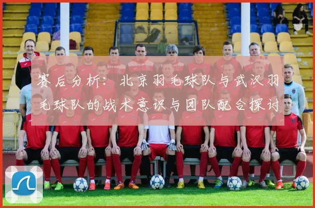赛后分析：北京羽毛球队与武汉羽毛球队的战术意识与团队配合探讨