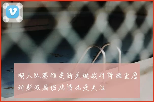 湖人队赛程更新关键战对阵掘金詹姆斯浓眉伤病情况受关注