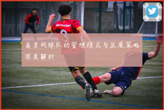 南京网球队的管理模式与发展策略深度解析