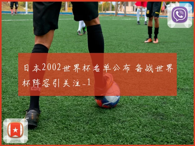 日本2002世界杯名单公布 备战世界杯阵容引关注_1