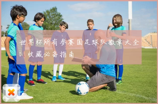 世界杯所有参赛国足球队徽章大全:收藏必备指南