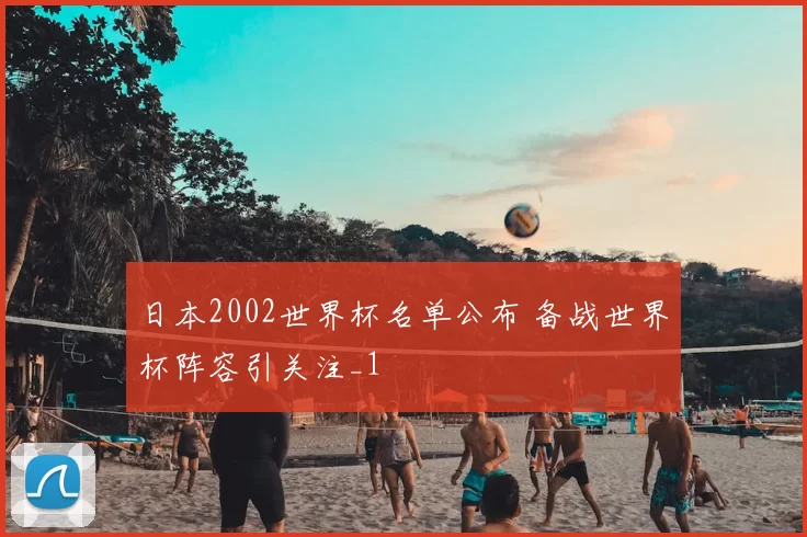 日本2002世界杯名单公布 备战世界杯阵容引关注_1