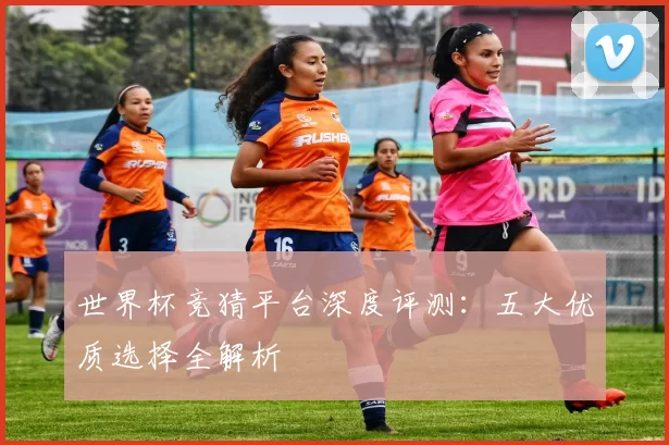世界杯竞猜平台深度评测：五大优质选择全解析
