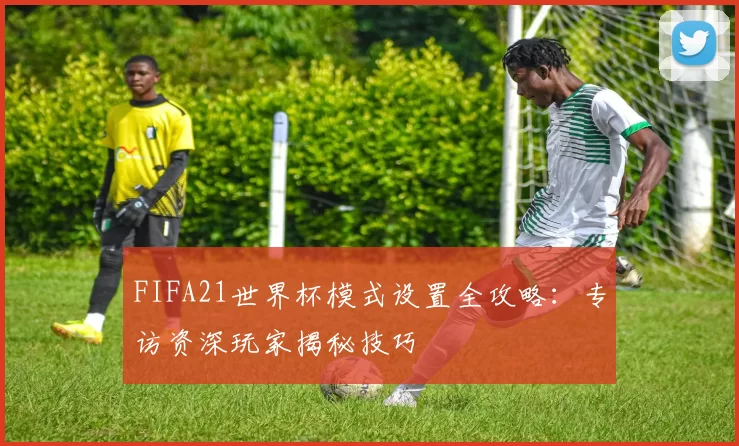 FIFA21世界杯模式设置全攻略:专访资深玩家揭秘技巧