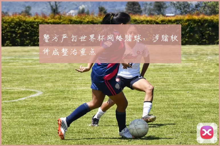 警方严打世界杯网络赌球，涉赌软件成整治重点