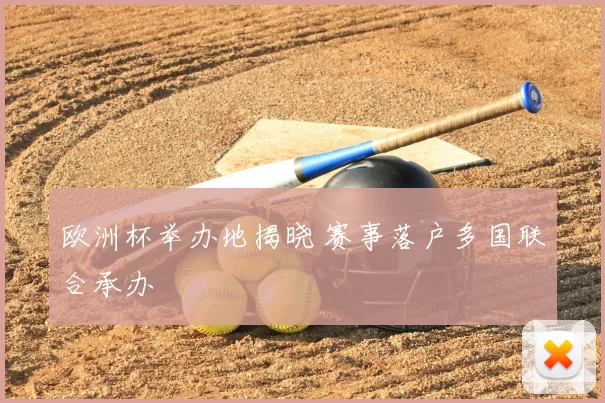 欧洲杯举办地揭晓 赛事落户多国联合承办