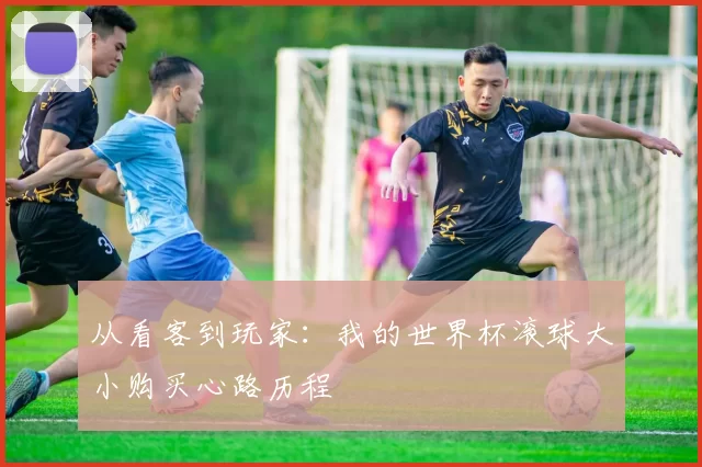 从看客到玩家:我的世界杯滚球大小购买心路历程