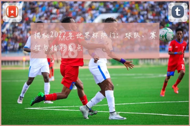 揭秘2022年世界杯热门：球队、赛程与精彩看点