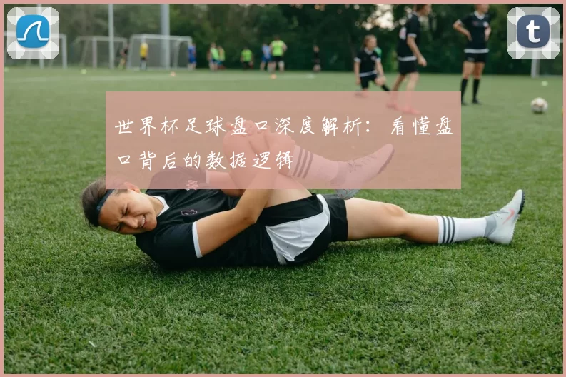 世界杯足球盘口深度解析:看懂盘口背后的数据逻辑