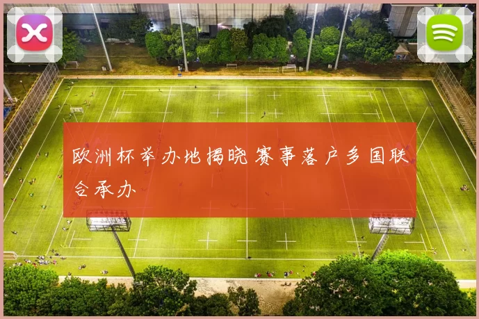 欧洲杯举办地揭晓 赛事落户多国联合承办
