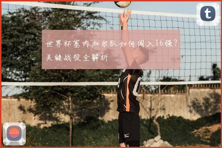 世界杯塞内加尔队如何闯入16强?关键战役全解析