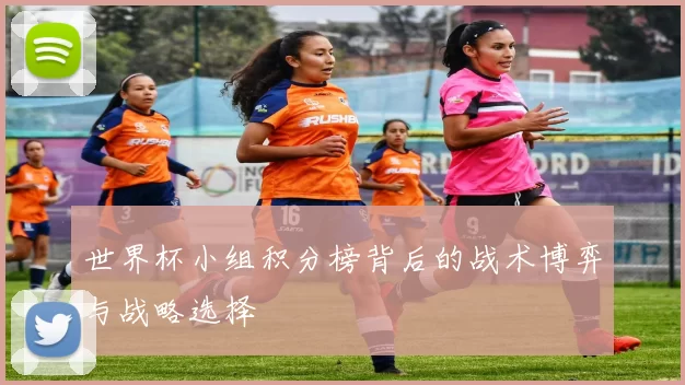 世界杯小组积分榜背后的战术博弈与战略选择