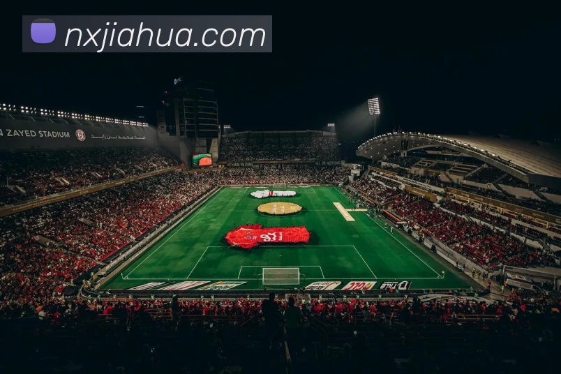 星空体育平台生态图