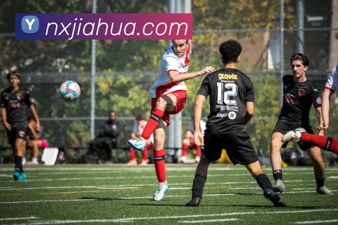 星空体育全站App 星空体育全站App